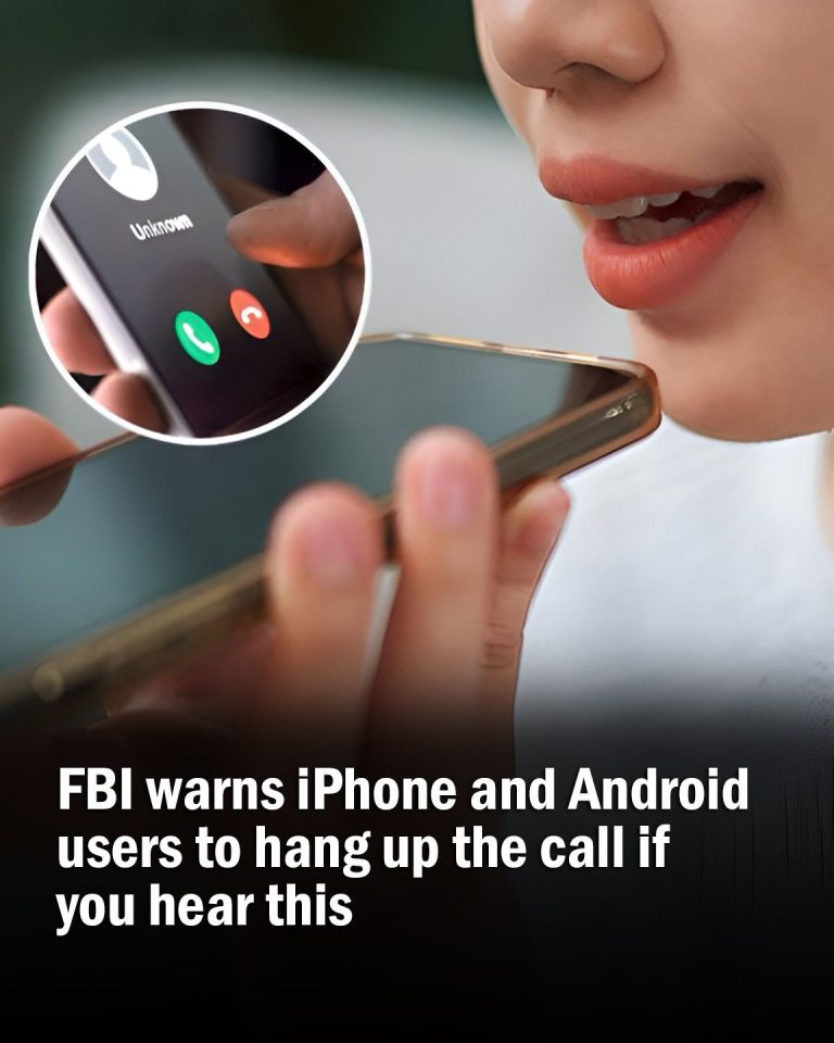 487493619 1110936694410271 2708794432479021453 N