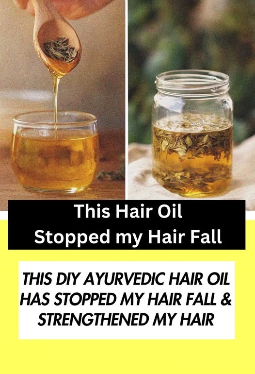 487505955 1172533574665356 2057442391436639773 N