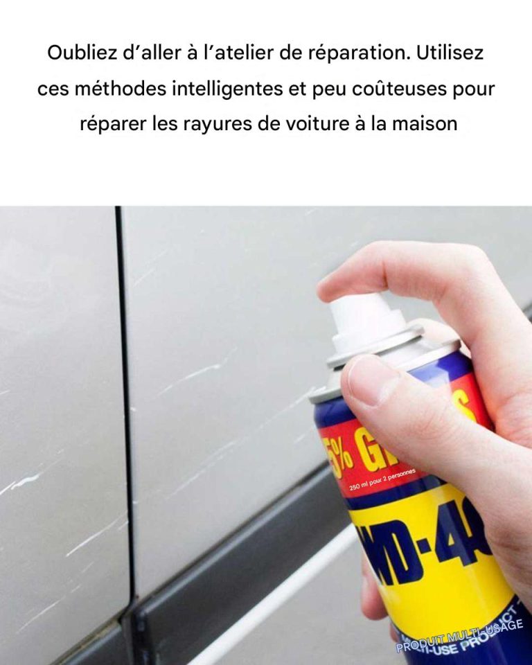 605f0781 93de 474d 8b1e 0de0e3dd26d4