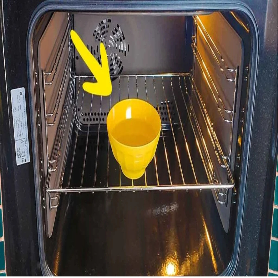 Untitled Project 2024 05 01t220925.237