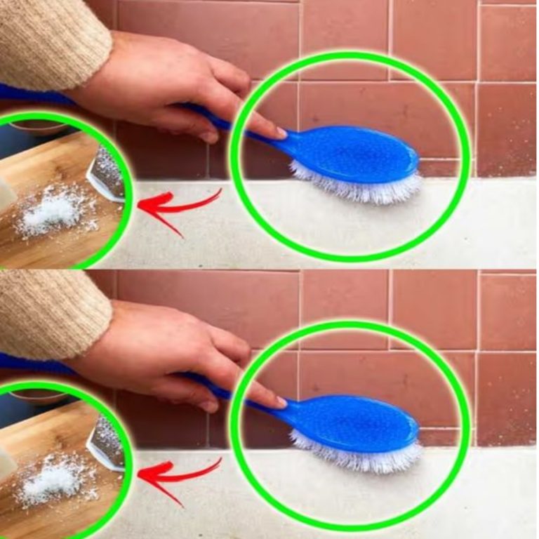 Untitled Project 2024 11 26t215240.805