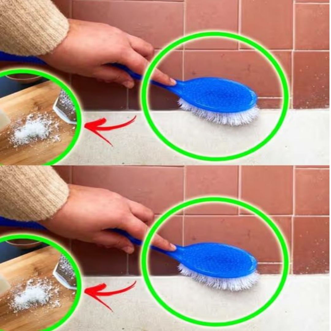 Untitled Project 2024 11 26t215240.805