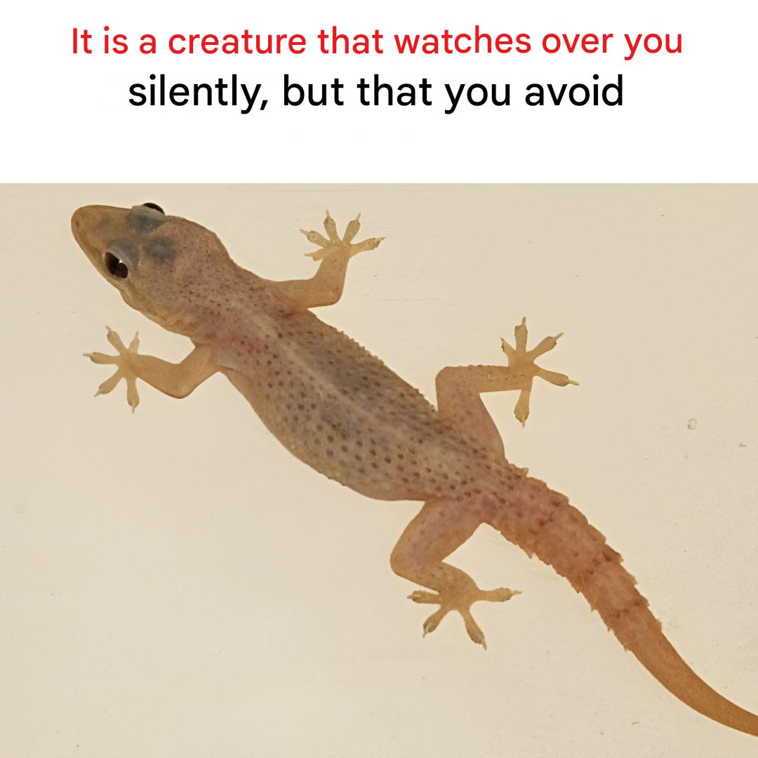 Cest Une Creature Qui Veille Sur Vous En Silence Mais Que Vous Evitez(1)