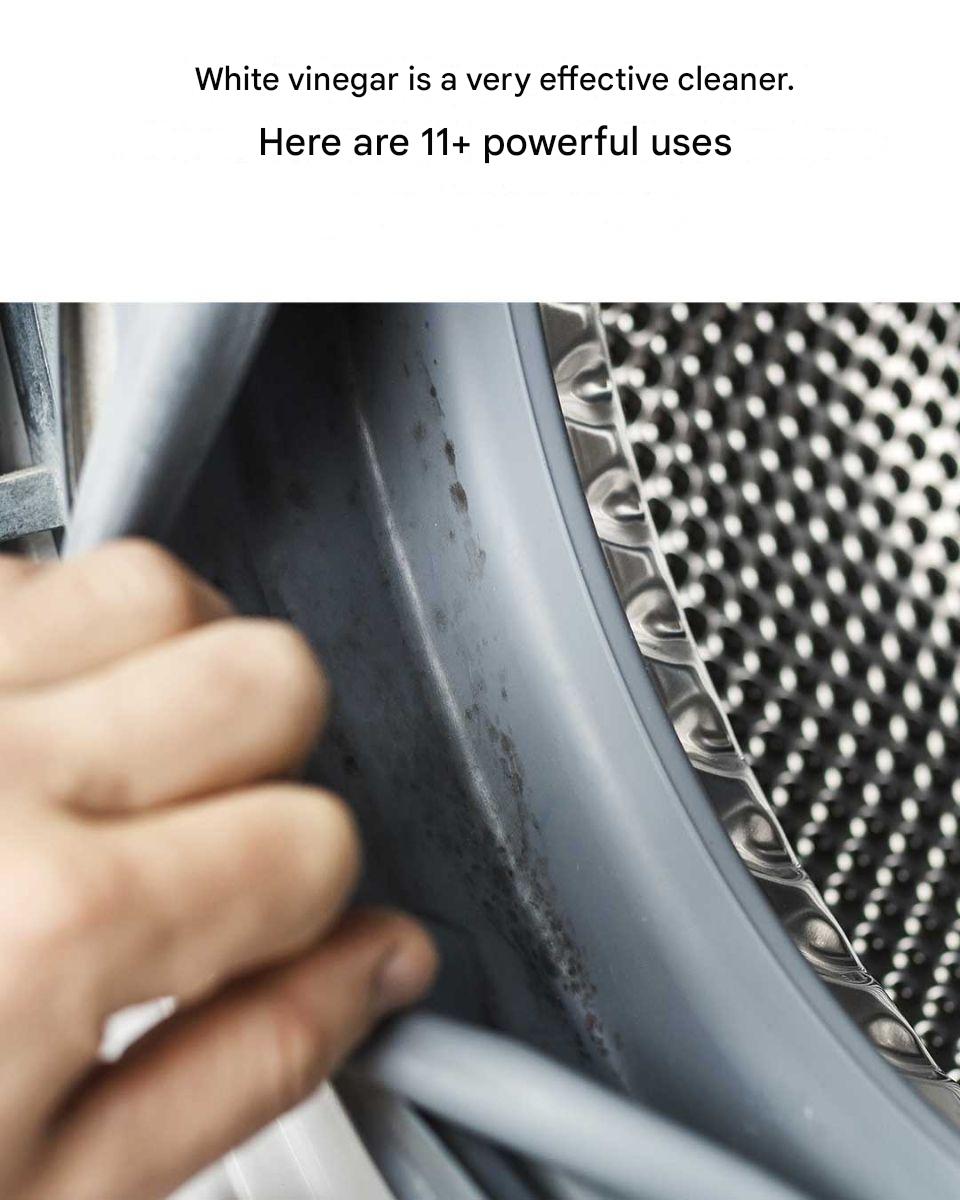 Ebf27403 324d 46c6 A20d Ed640e3911ed(1)