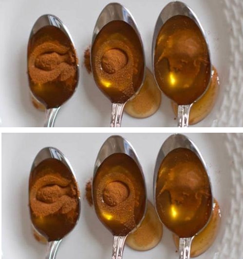 Honey Cinamon
