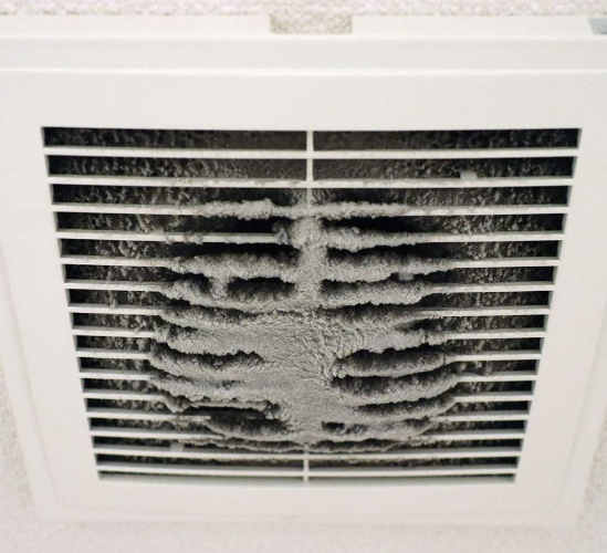 Image 2025 02 02 224519579