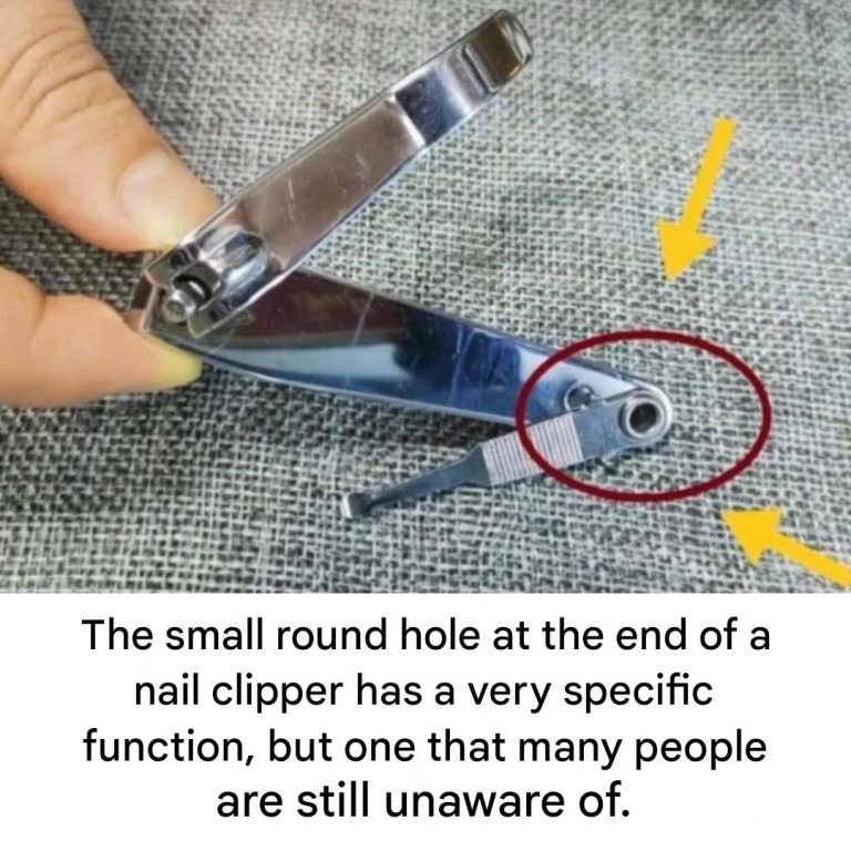 Le Petit Trou Rond A Lextremite Dun Coupe Ongles A Une Fonction Bien Specifique(1)
