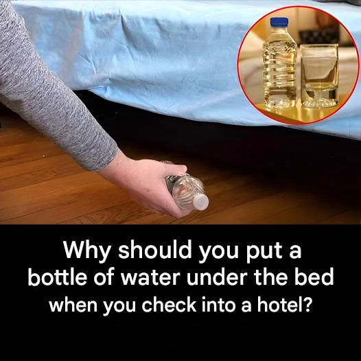 Pourquoi Devriez Vous Mettre Une Bouteille Deau Sous Le Lit Lors De Votre Arrivee Dans Un Hotel(1)