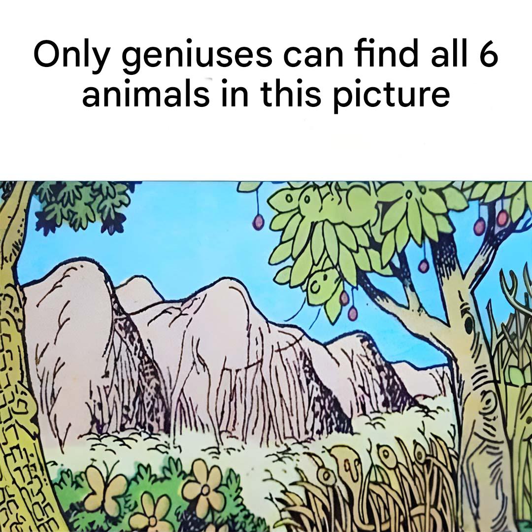 Pouvez Vous Trouver Les 6 Animaux Sur La Photo(1)