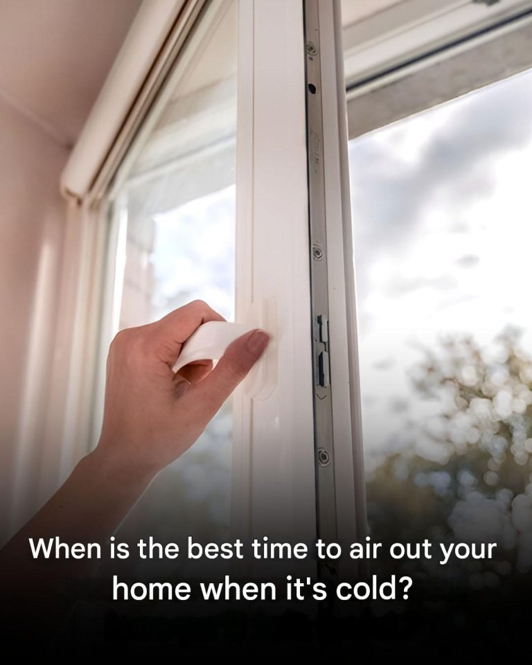 Quel Est Le Meilleur Moment Pour Aerer Votre Maison En Hiver(1)