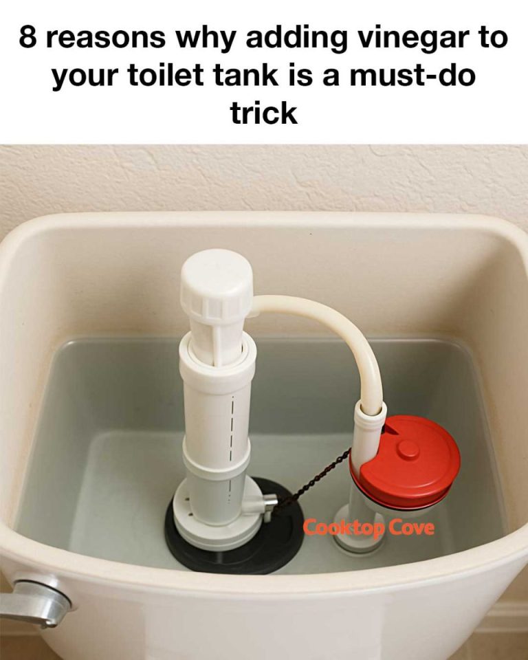 1f81aea36b4f043ad7 Copy 758x416 6 1 Taha 2 Taha Taha 2 15 137 819x1024 12 4