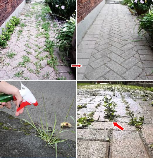 1f81aea36b4f043ad7 Copy 758x416 6 1 Taha 2 Taha Taha 2 93 1