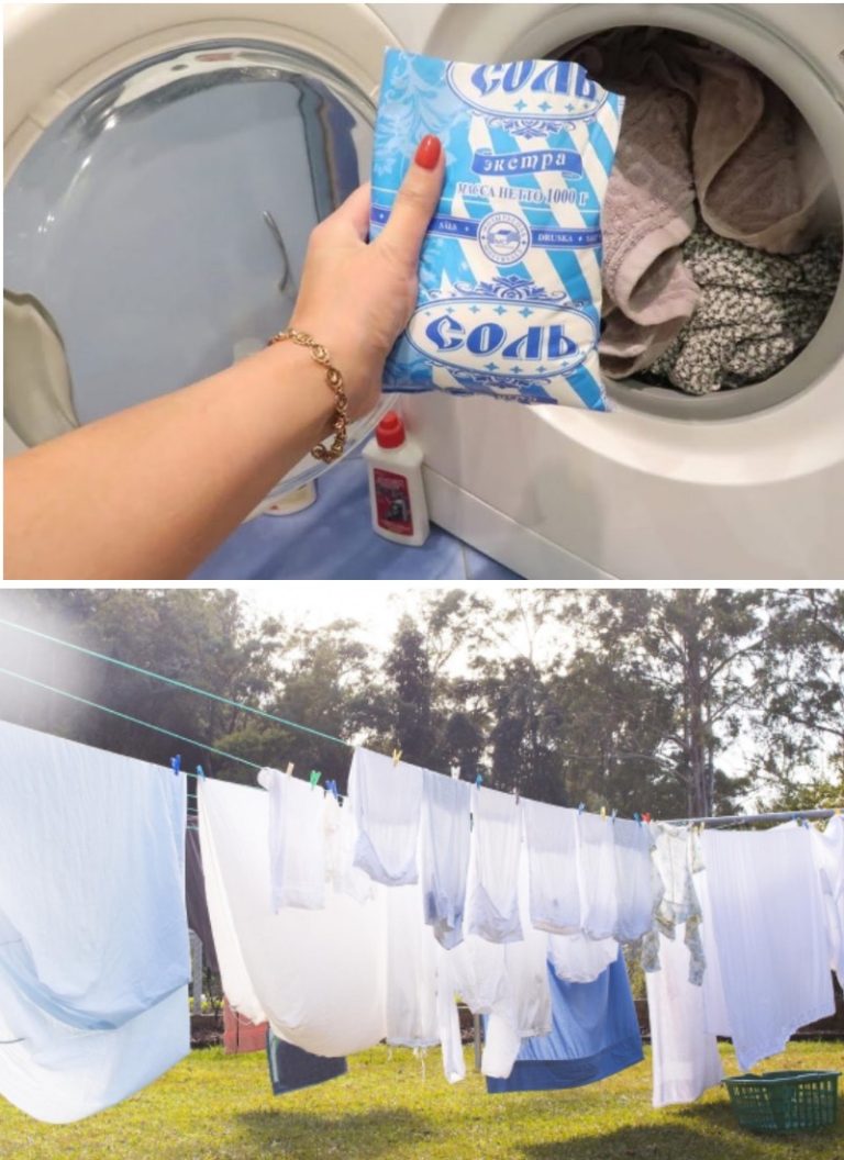 437561083 122219072162003034 1951471282334790257 N