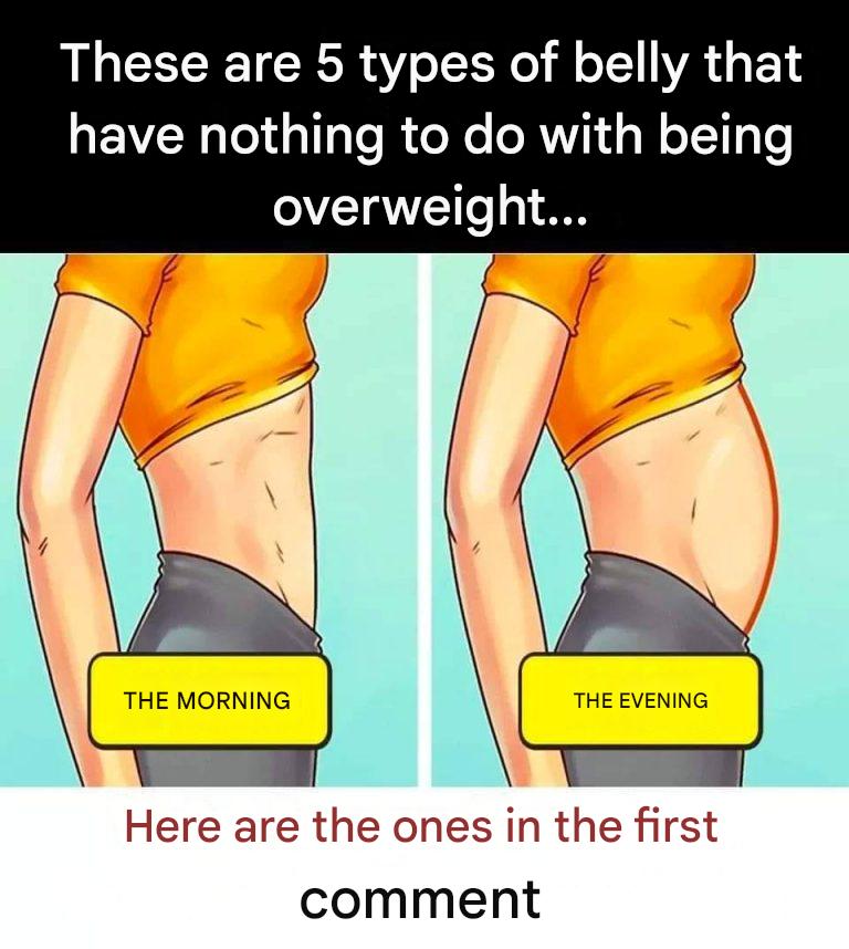 438729475 394652003553400 4496928048925639555 N 768x858 1 1