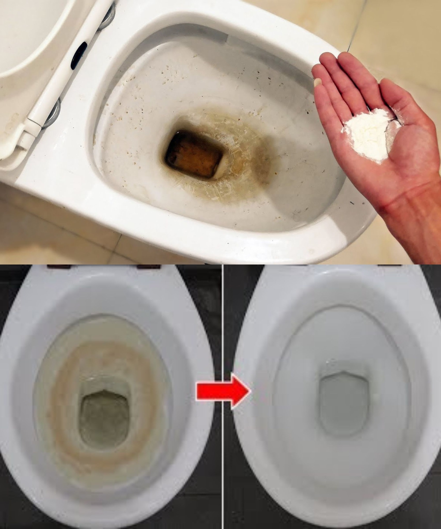 454351510 122159936696090254 1364914861354223919 N 1