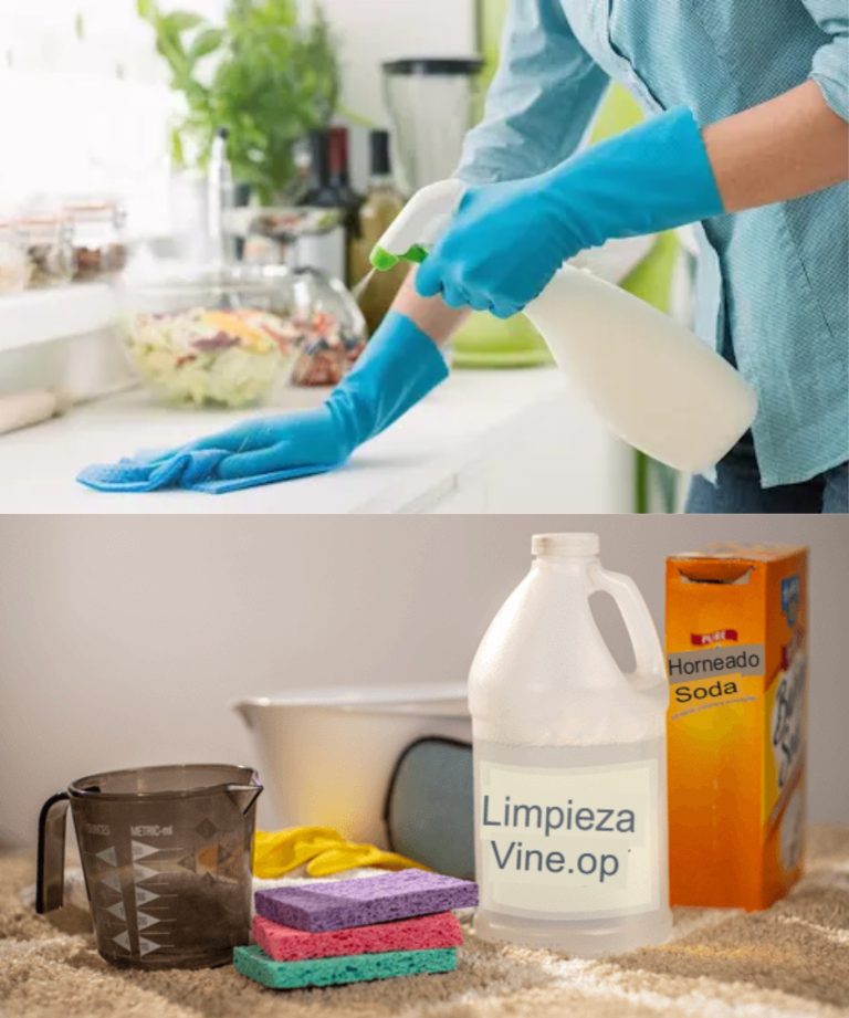 457191516 495701853412971 2785422333459874376 N