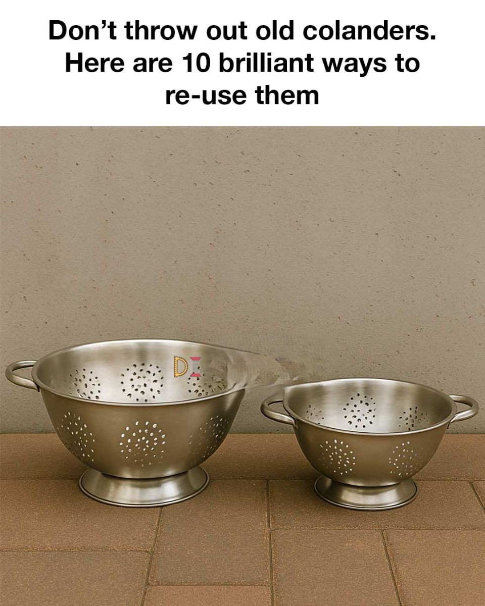 470186924 122148269864477614 3688328754708134710 N 72 838x1024 2