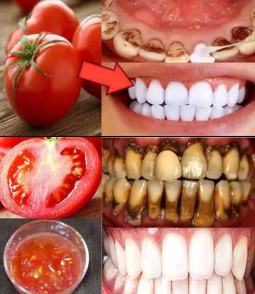 471062549 568373206152851 1705206525415780515 N