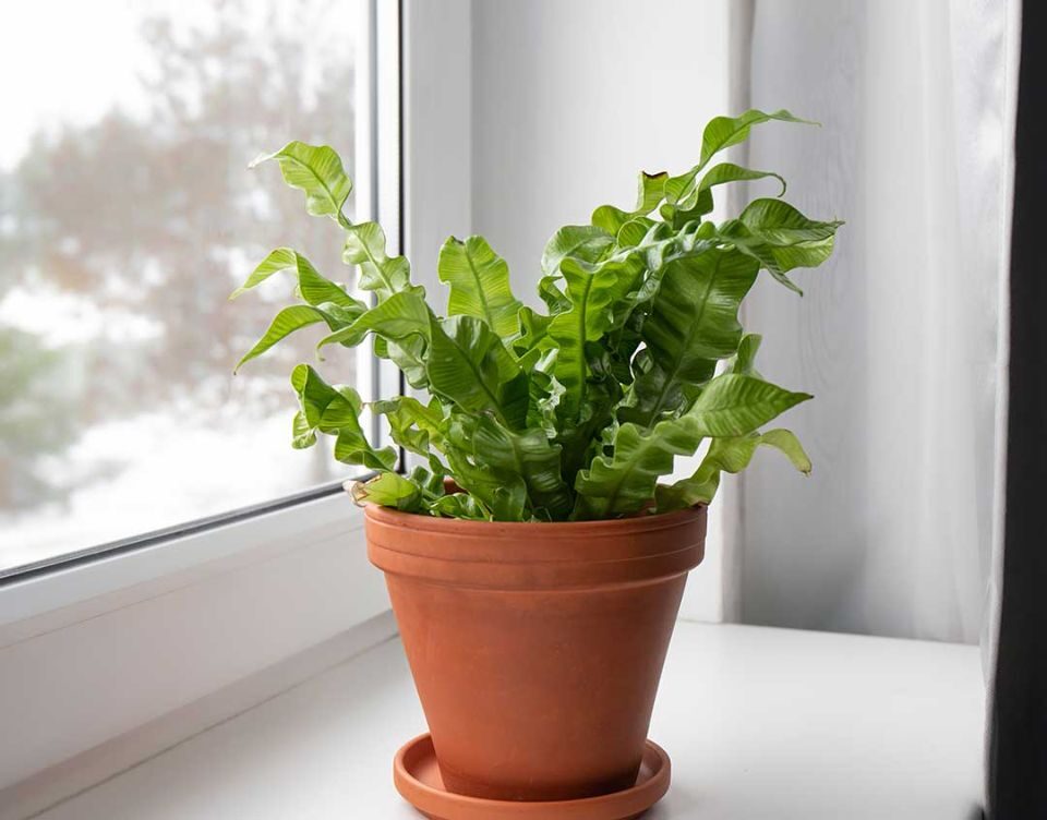 471281701 1011603974344316 3747320295389653836 N 1 E1738189134874