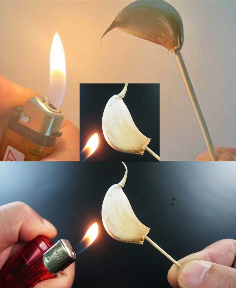 472534758 577159521940886 3497969649900868376 N