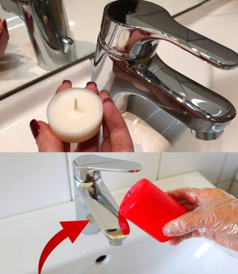 475746147 122152299338366678 7934466614170139171 N