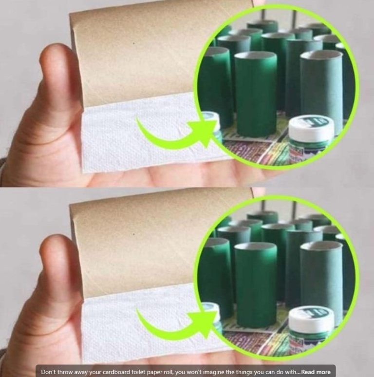 476404410 558171963922366 1883548435523444574 N