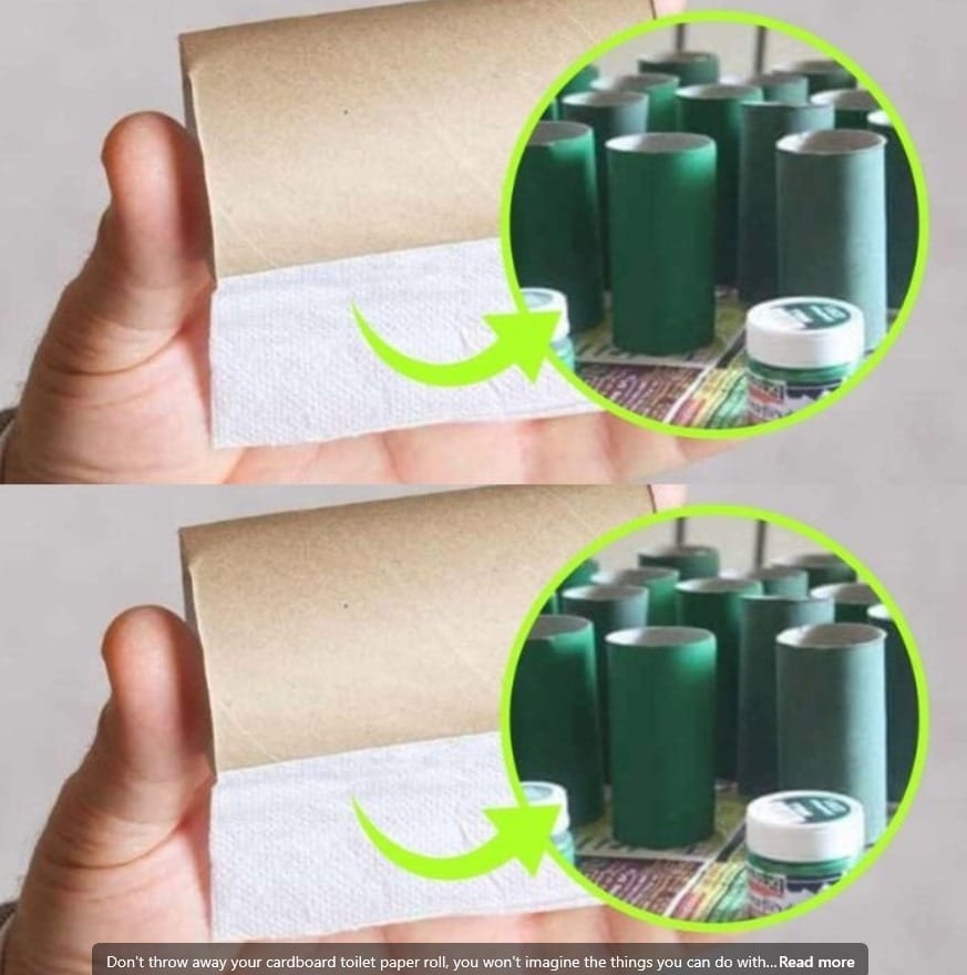 476404410 558171963922366 1883548435523444574 N