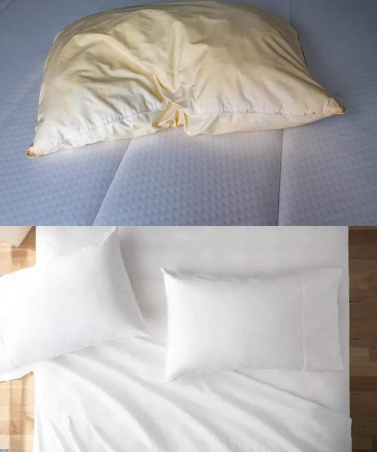 476795830 122159516000327855 5645883314815590457 N