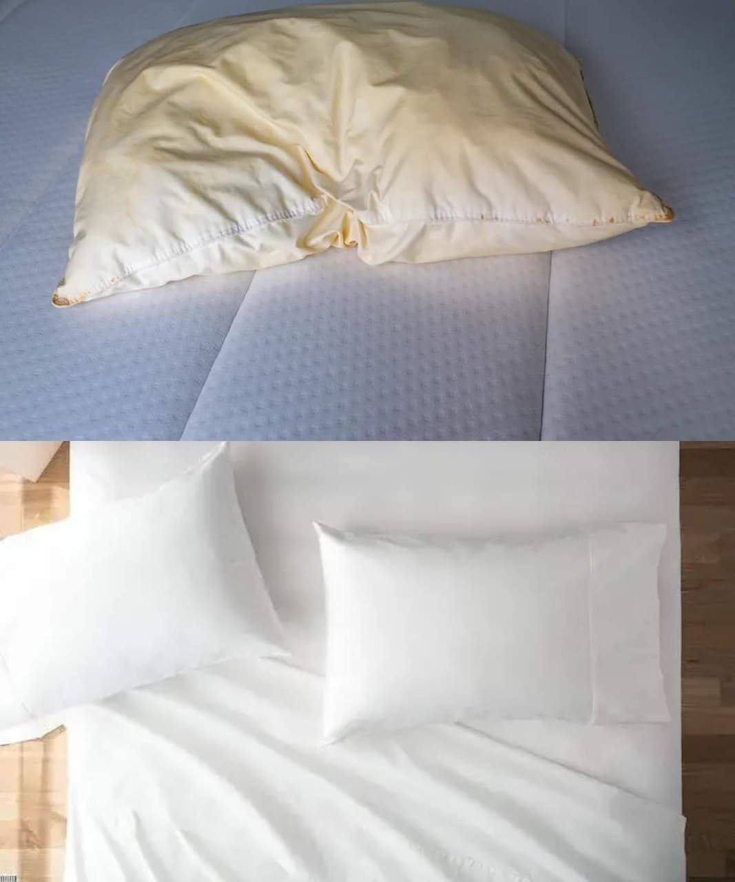 476795830 122159516000327855 5645883314815590457 N