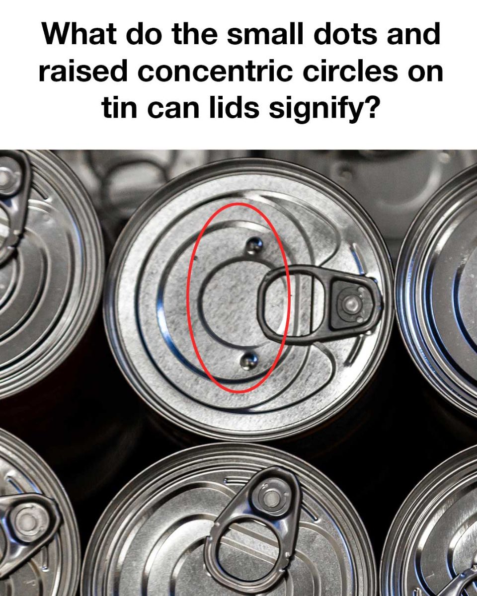 478586026 1049196063918440 7372791317639377970 N