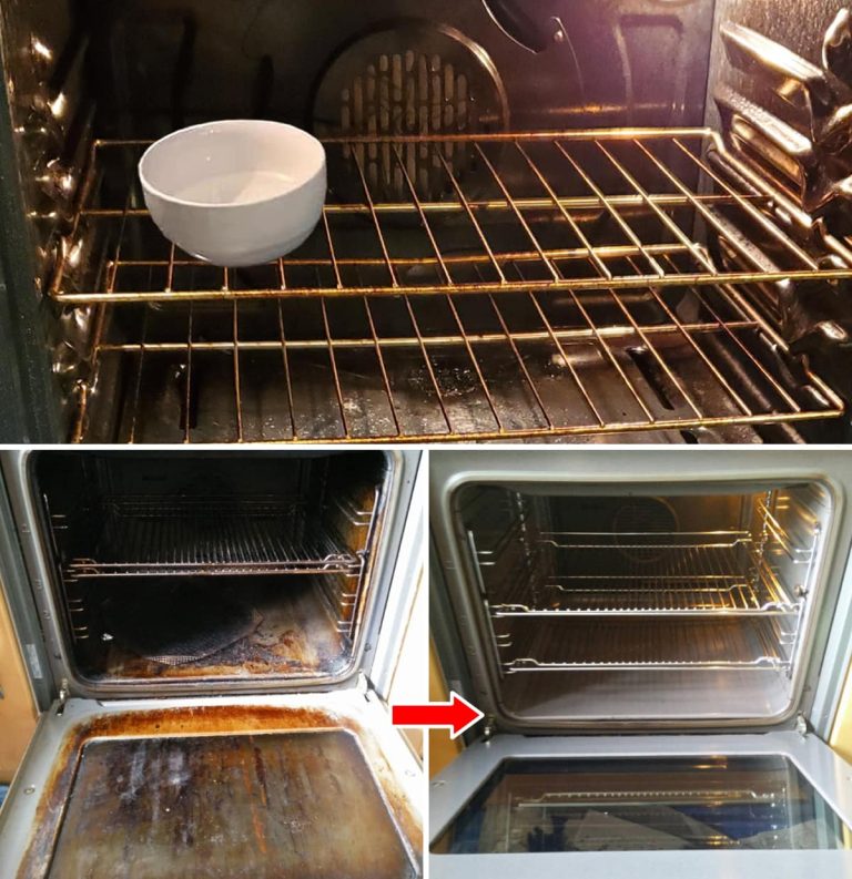 484475950 3946271228948824 7615241985335456335 N 1