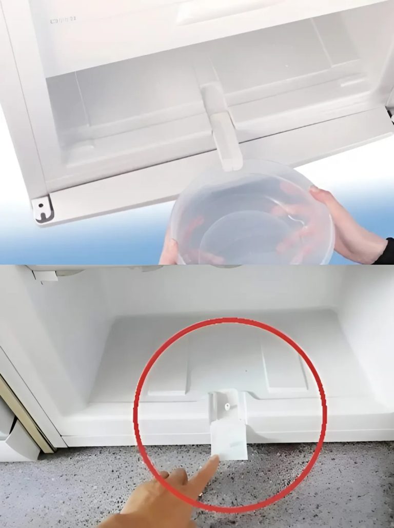 484854378 1783252715590279 9123850083747416622 N