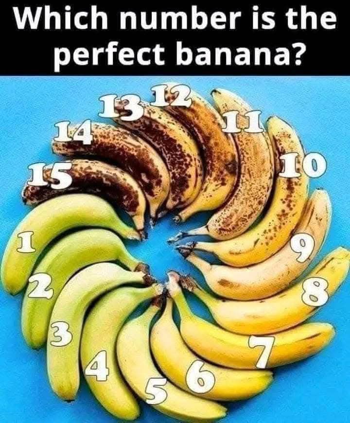 484879240 122195398238096779 2685720196911449995 N 1