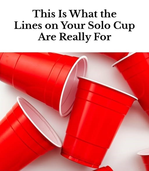 484907294 1084660733697982 1910809097565310069 N 1