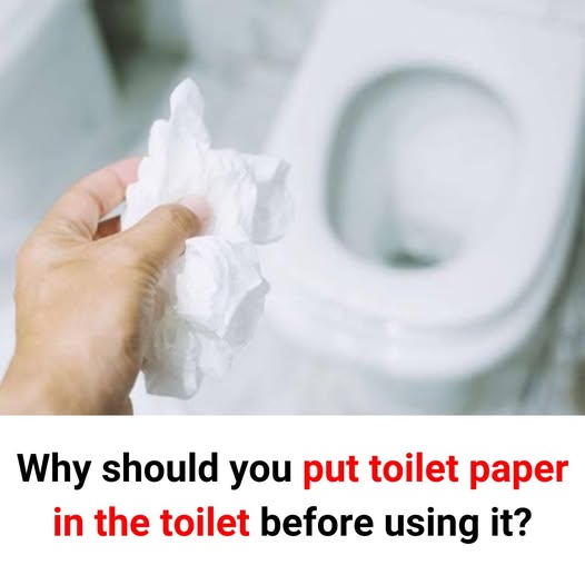 485115165 1178441863649640 6917101780458826214 N