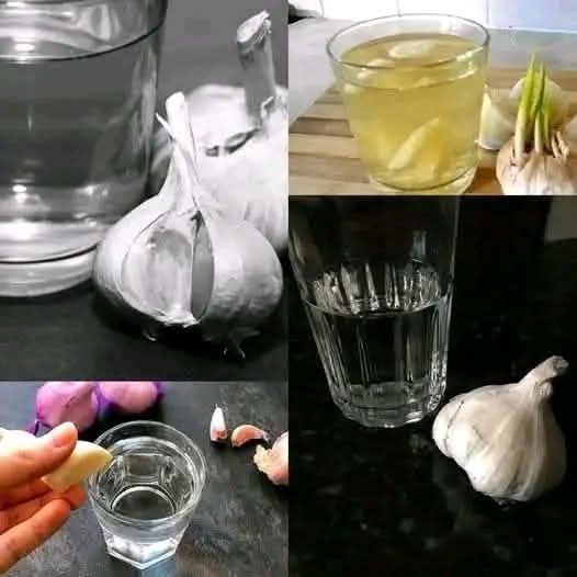 485978485 9572816319444202 9031730846720437289 N