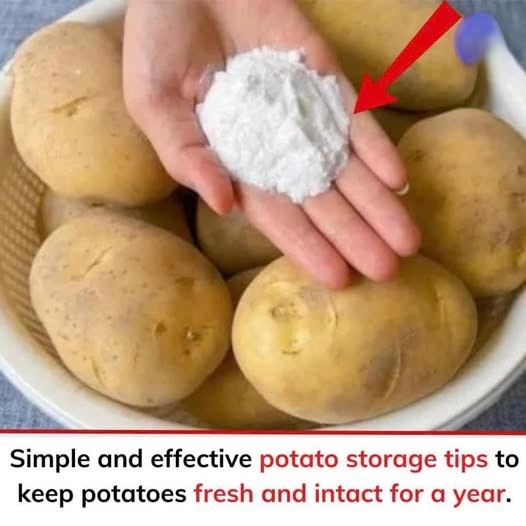 486038593 122224372250227198 1792244555574867829 N