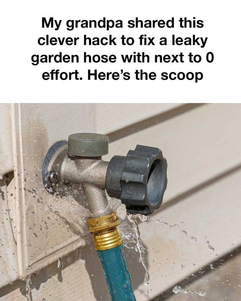 486089268 2291556494918032 5414717879677102317 N