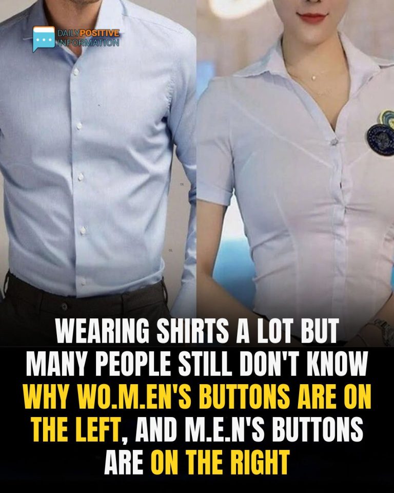 486179449 1118850886952185 405976862132159255 N