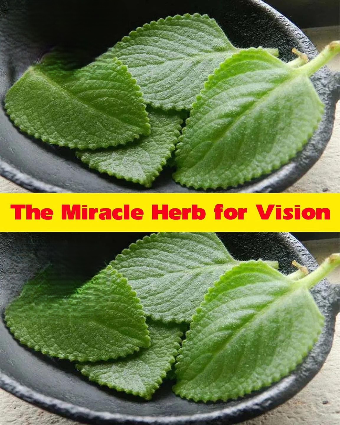 486571148 1215888903263140 2528805362153355824 N