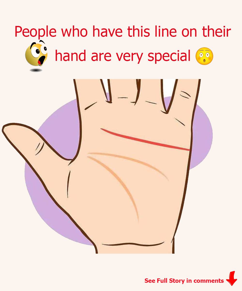 486615556 1217647976420566 1693754333921551050 N