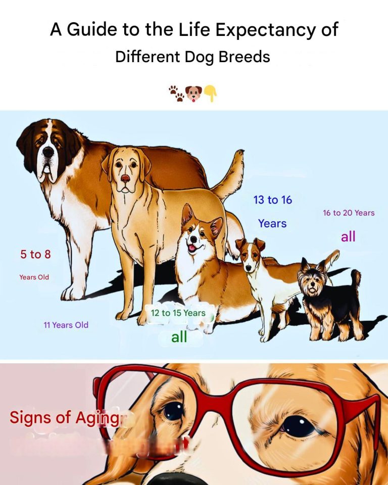 486788023 518321888007439 8493121003914617568 N(1)