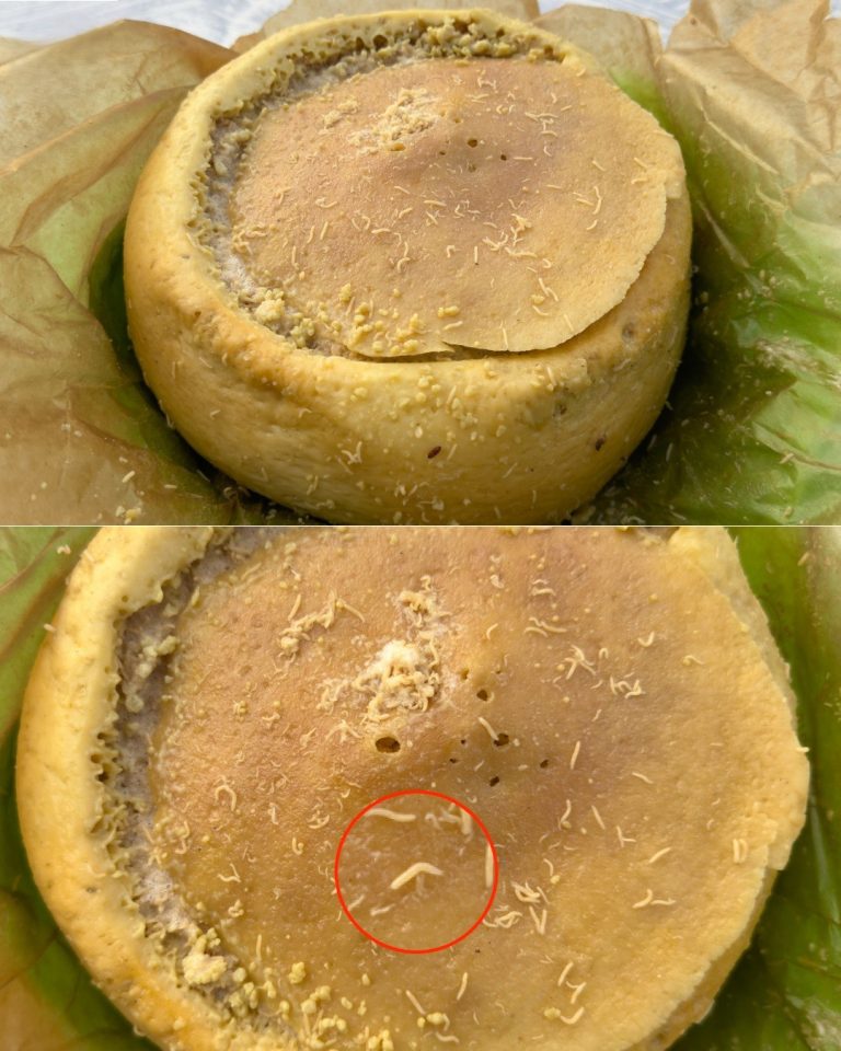 487189231 1090177629820733 3197799747217431077 N