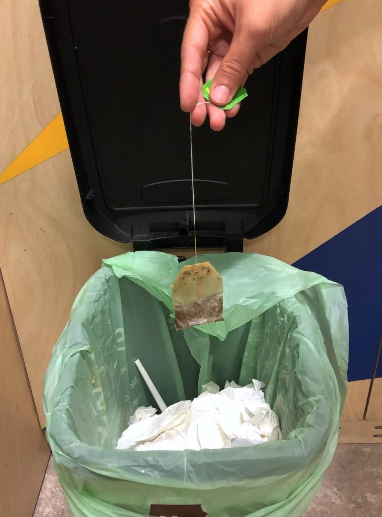 487201019 1090980836407079 6972470710945315168 N 1135x1536