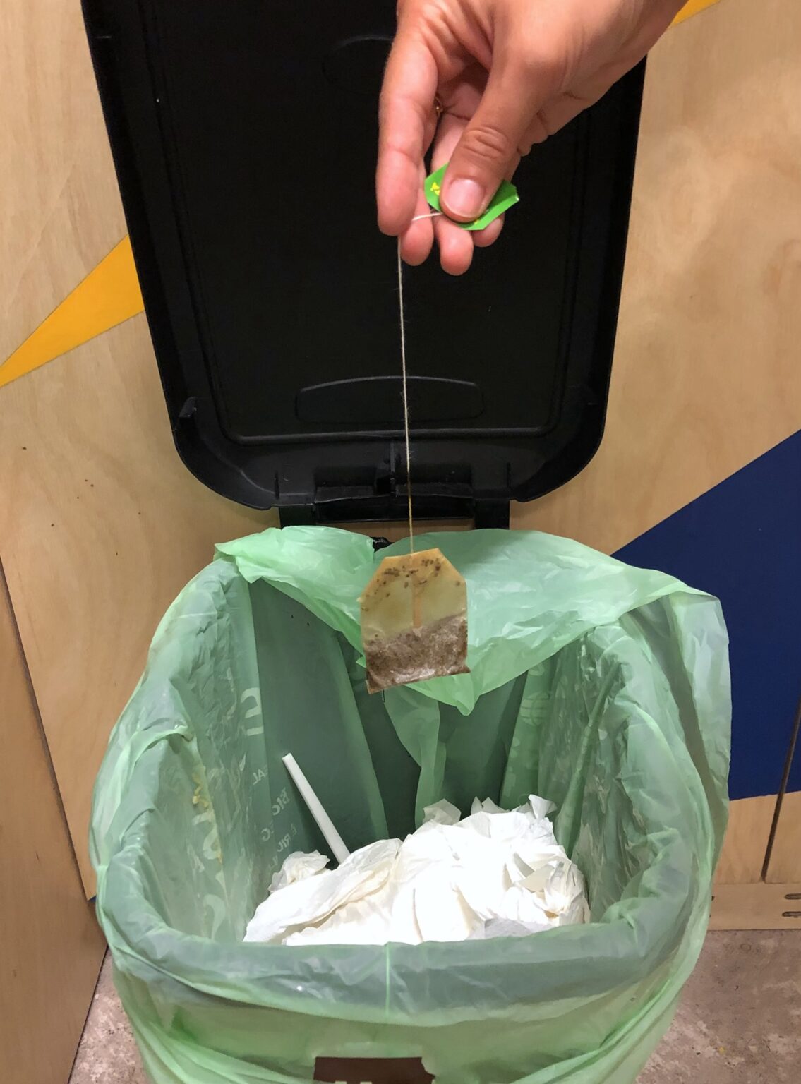 487201019 1090980836407079 6972470710945315168 N 1135x1536