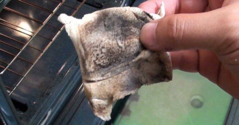 487299505 122174007794315747 1775264837571313509 N