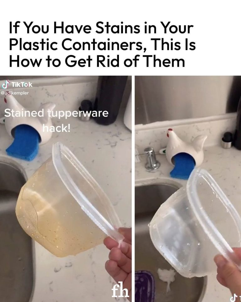 487381043 1061129162729522 1364333727891390724 N