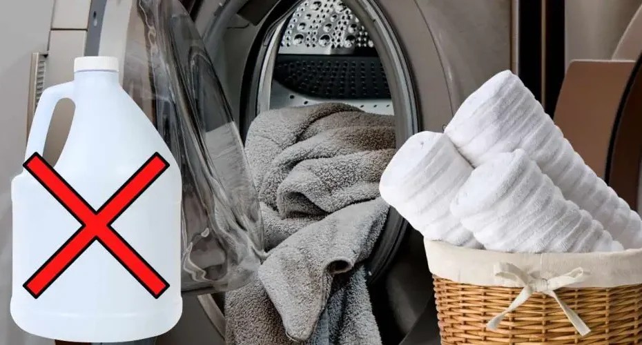 487428053 122173852760315747 8208468912552792948 N