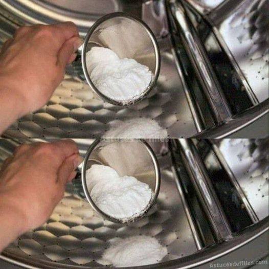 487536824 684861807832458 8846931674702668309 N 1