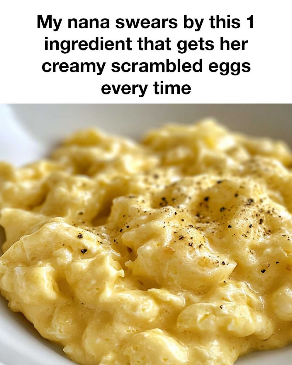 488182391 122124461654677086 87859679339062997 N
